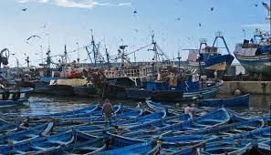 Port de Mehdia : Les débarquements de pêche en baisse de 19% à fin novembre 2024