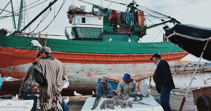 Port de Safi: Baisse de 1% des débarquements de la pêche à fin février 2025