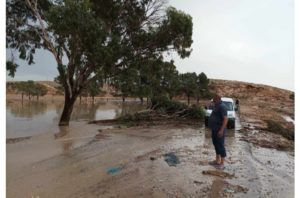 Intempéries à Béja : la ville balayée par des pluies torrentielles et des vents puissants