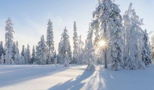 Hiver rigoureux : pluies abondantes et chutes de neige attendues en Tunisie