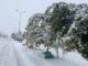 Tunis pourrait-elle connaître des chutes de neige ?