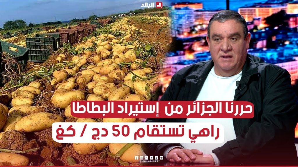 حررنا #الجزائر من التبعية في إستيراد البطاطا .. ننتجها محليا وتكلفنا 50 دج