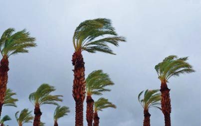 Fortes pluies localement orageuses et rafales de vent vendredi dans plusieurs provinces du Royaume