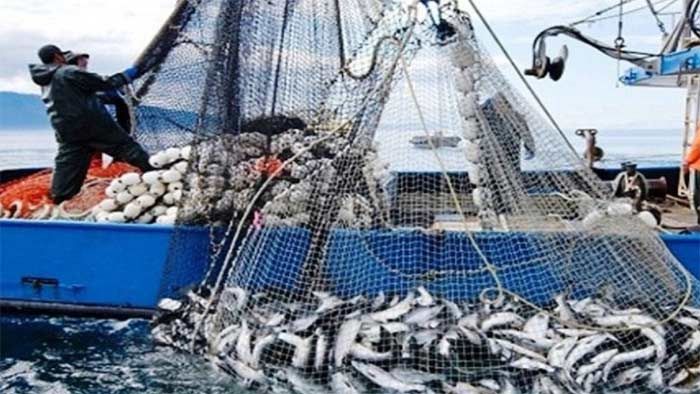 Port d’Essaouira : Hausse de 49% des débarquements de pêche à fin septembre (ONP)