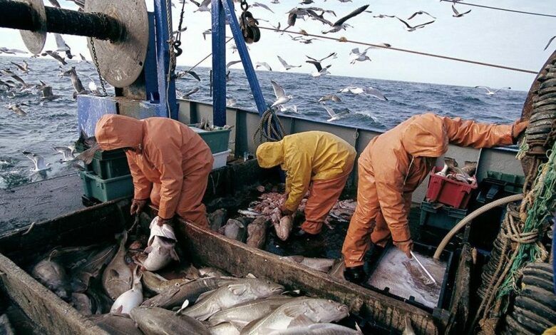 Port de Tanger: Les débarquements de pêche reculent de 30% à fin novembre