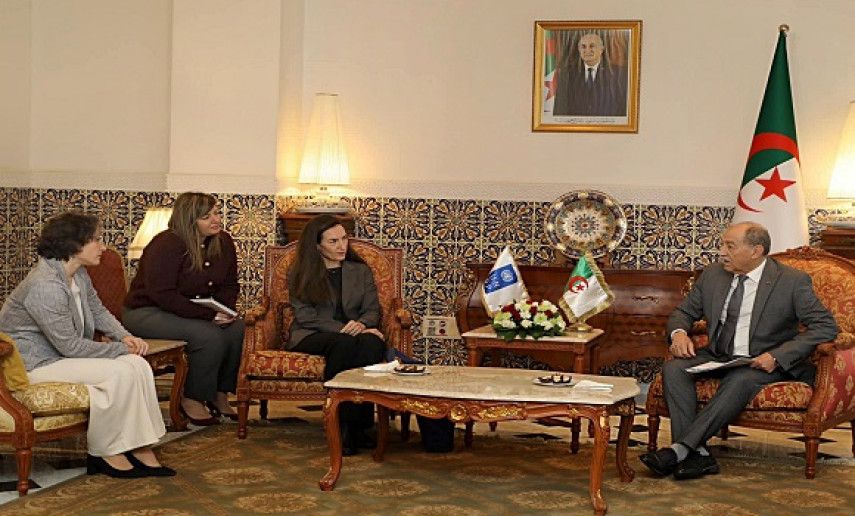 Constitutional Court President receives UNDP Resident Representative in Algeria