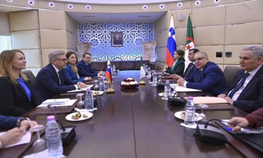 Algeria, Slovenia hold 3rd bilateral political consultations