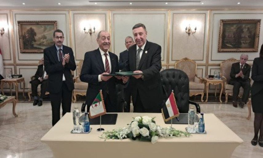 Constitutional Court, Egyptian counterpart ink MoU