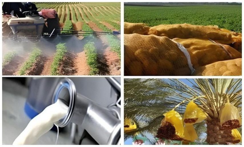 2024, fruitful year for agricultural sector in Algeria