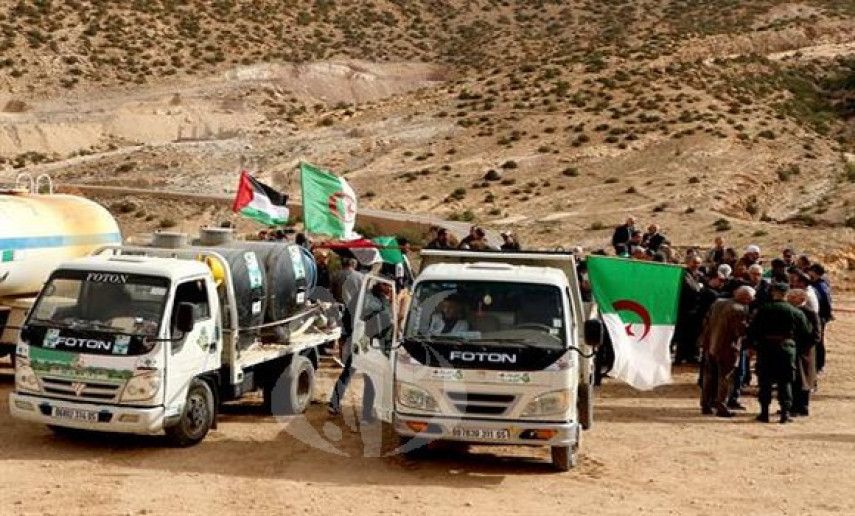 Batna: "Together to plant Al-Quds olive tree" reforestation campaign