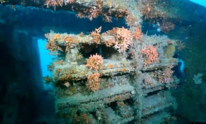 Artificial reefs: Associations build "houses" to repopulate coastal marine creatures