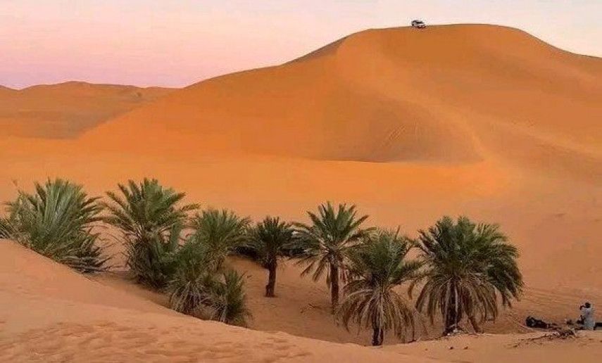 About 3,200 tourists of national community abroad in Taghit