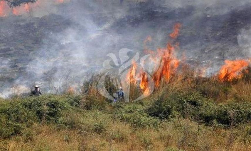 Forest fires: Government meeting discusses measures to protect people, property