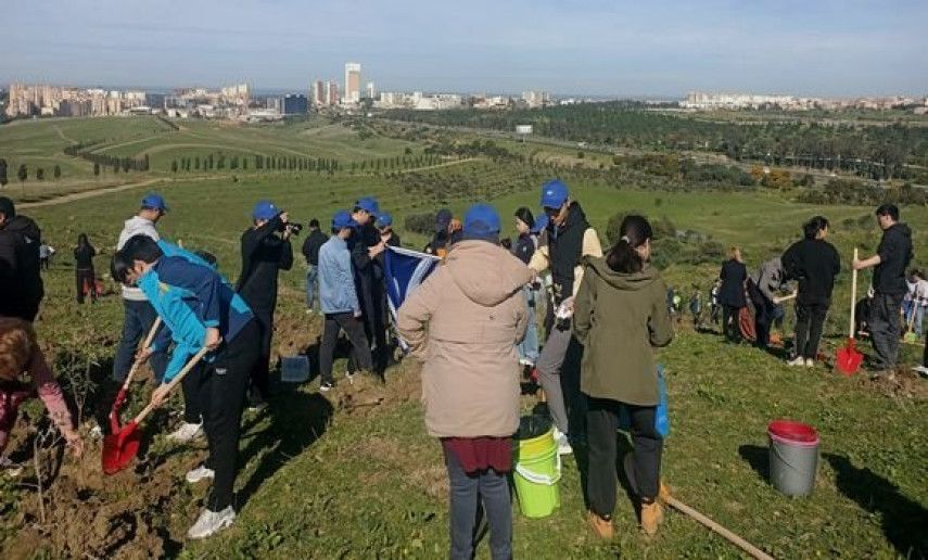 Algeria-China Friendship Association plants 500 shrubs in Dely Brahim