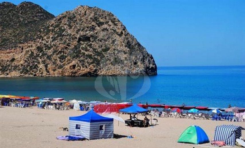 President of the Republic orders strict enforcement of law against seasonal brokerage on beaches