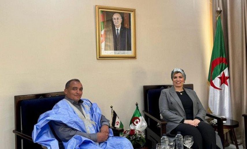 Minister of Culture and Arts meets Sahrawi counterpart