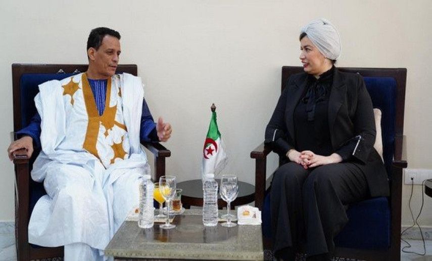 Mouloudji receives President of International Union of Hassaniya Writers