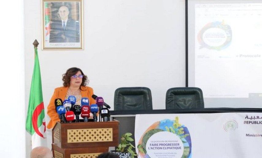 Dahleb reaffirms Algeria's commitment to eliminating ozone-depleting substances by 2030