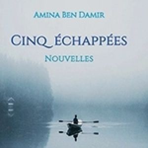 Amina Ben Damir: Cinq beaux récits