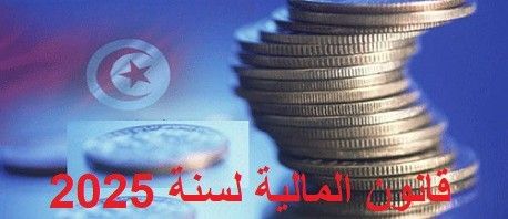 مشروع قانون المالية 2025: اجراءات للمساهمة في تطوير النقل الكهربائي