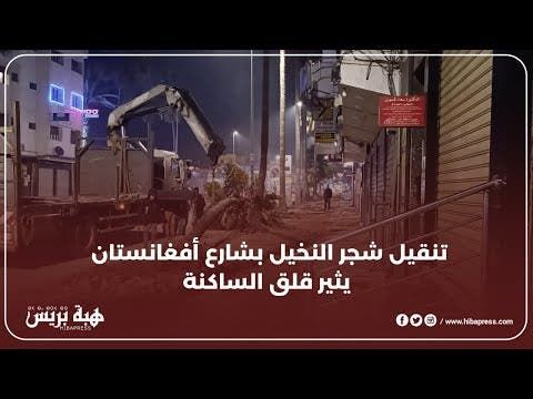 تنقيل شجر النخيل بشارع أفغانستان يثير قلق الساكنة