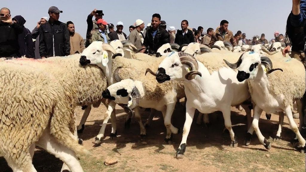 عيد الأضحى صورة تعبيرية