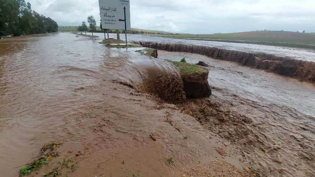 الأمطار في الشاوية