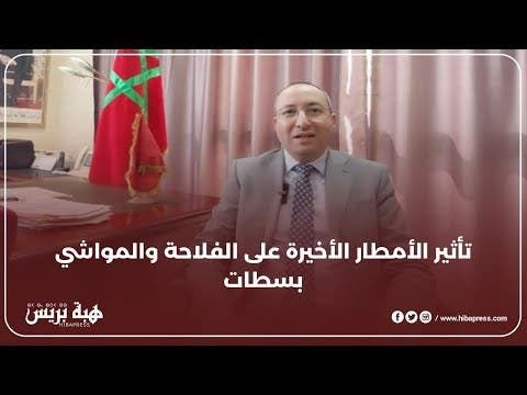 تداعيات الأمطار الأخيرة على الفلاحة والمواشي.. المدير الإقليمي للفلاحة بسطات يجيب