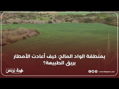 بمنطقة الواد المالح: كيف أعادت الأمطار بريق الطبيعة؟