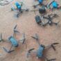 RSF drones downed by the Sudanese army and Darfur groups in El-Fasher on September 8, 2024