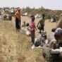 Civilians flee their villages in southern Al-Jazirah state following RSF attacks on May 25, 2024