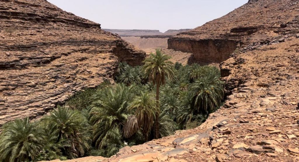 المصدر: الصحراء بلس