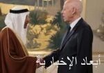 الرئيس التونسي يستقبل وزير الاستثمار