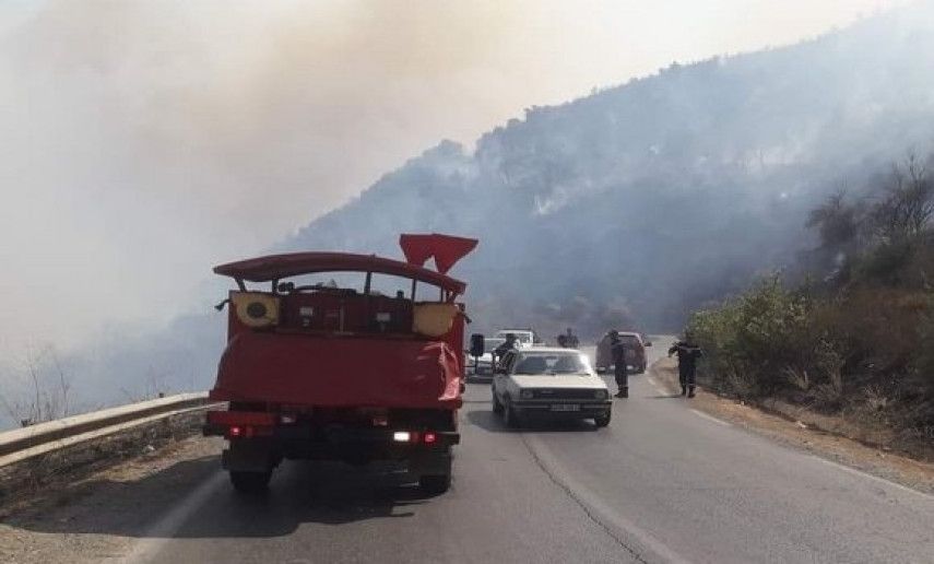 Les modalités d'organisation de la campagne de lutte contre les feux de forêts fixées