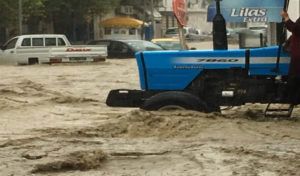 Sidi Bouzid sous la pluie : 42 mm de précipitations en 24 heures à Bir El Hafey