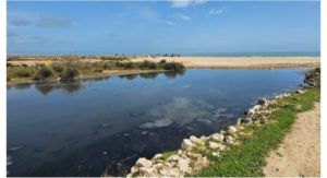 Pollution à la plage de Raoued : le ministre de l’Environnement intervient après le déversement d’eaux usées