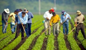 Nouvelle loi sur le travail : fin de la sous-traitance et sanctions renforcées