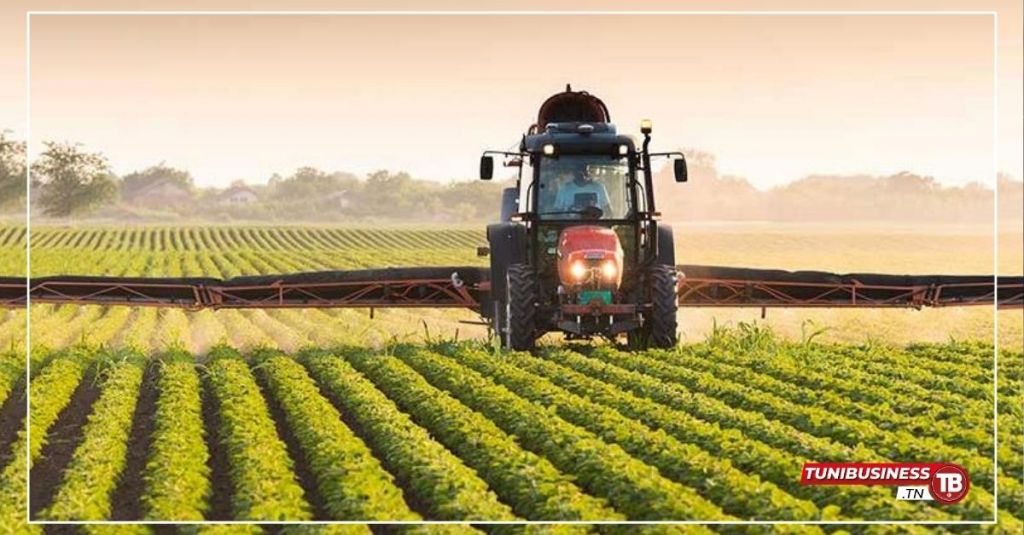 Zaghouan : Planification de 1000 Hectares pour les Légumes d’Hiver