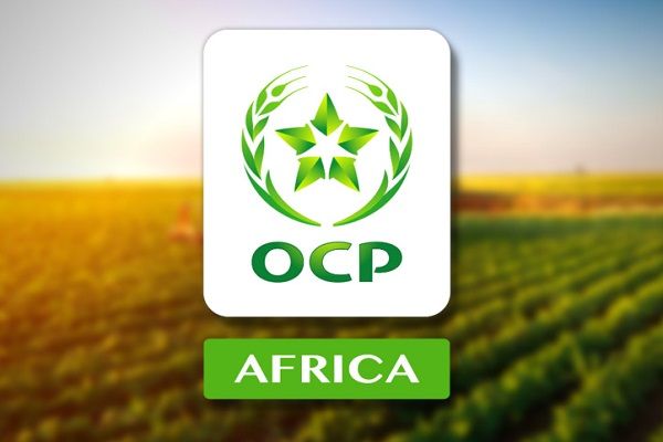 Rwanda: OCP Africa lance des Centres de services agricoles