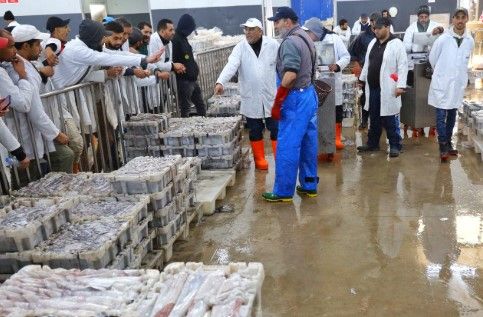 Port de Tarfaya : 5 MDH pour l’extension de la halle aux poissons