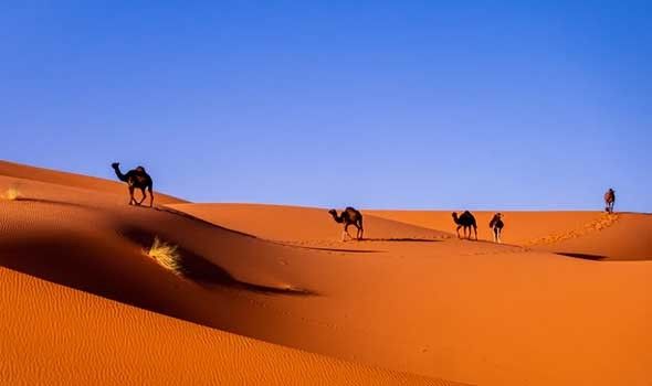 جمهورية السلفادور تُجدد تأكيد دعمها لوحدة المغرب الترابية وسيادته على صحرائه