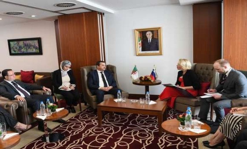 Arkab, Slovenian National Assembly President examine boosting cooperation