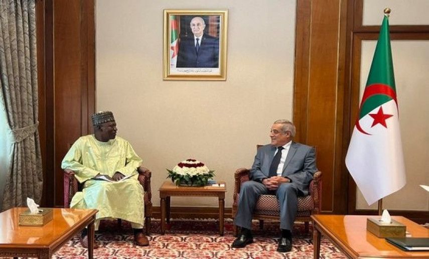 Larbaoui receives Niger’s Petroleum Minister