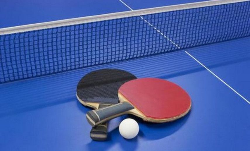 African table tennis championships: Pair Bouhenni-Nasri wins silver medal