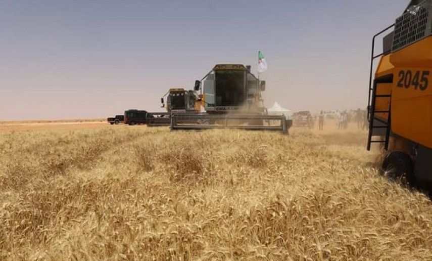 El-Meniaa: Innovative Algeria-Saudi Arabia partnership in agricultural development