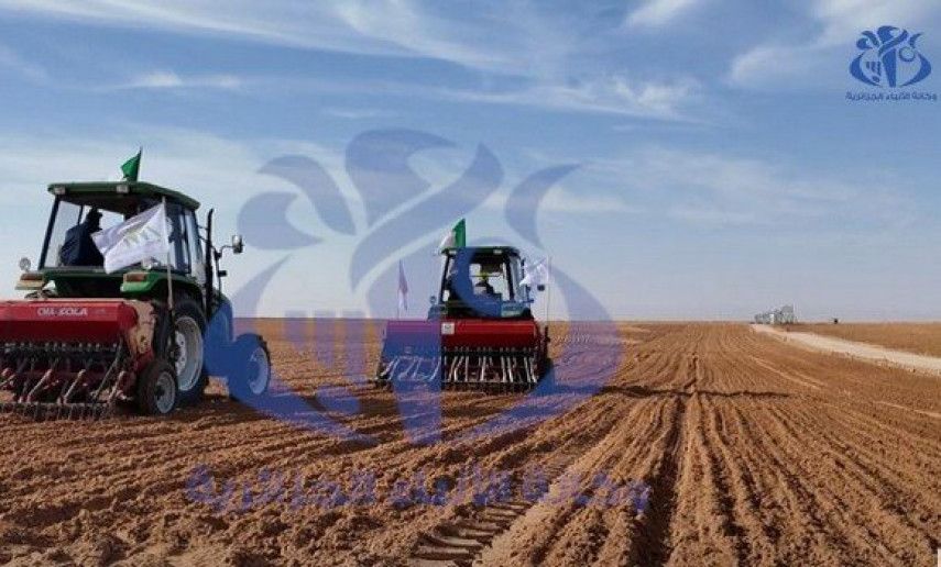 Plowing-sowing campaign: Over 1,300 hectars dedicated to grain farming in Touggourt