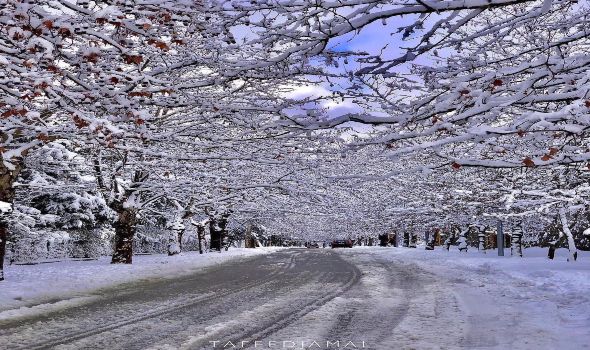 لبنان يحذر مواطنيه من عاصفة آدم