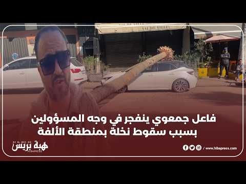 فاعل جمعوي ينفجر في وجه المسؤولين بسبب سقوط نخلة بمنطقة الألفة