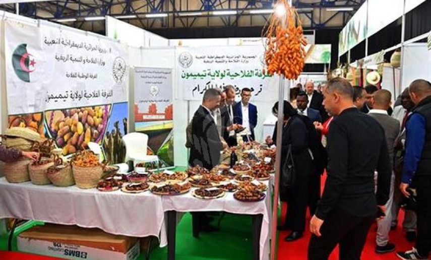 Salon international des dattes: une diversité de variétés au cœur du terroir algérien