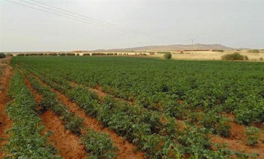 Président de la République: le dossier du foncier agricole sera définitivement clos en 2025